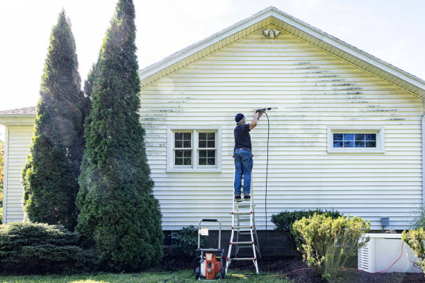 Best Deck Cleaning Services  in Hamshire, TX